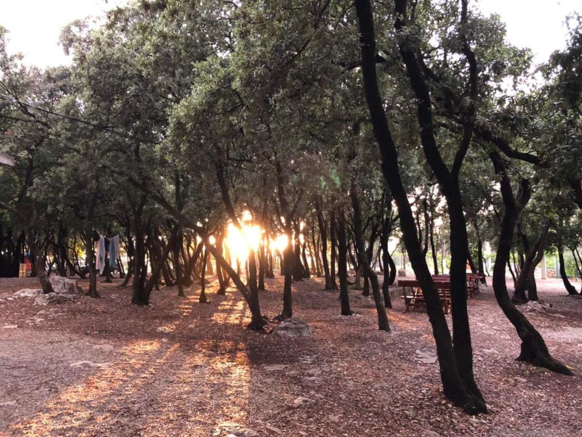 Villa Ariel Luštica Εξωτερικό φωτογραφία