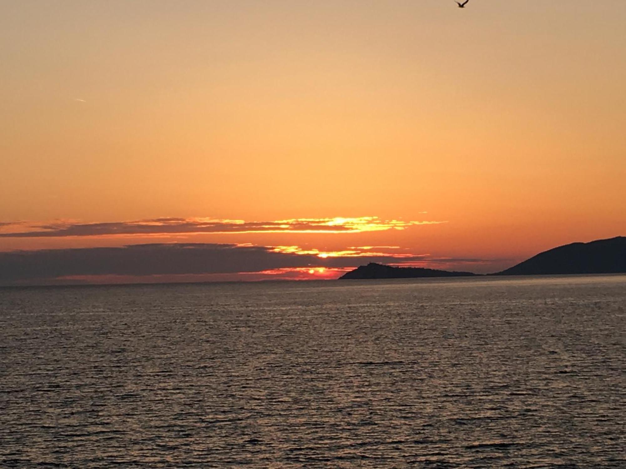 Villa Ariel Luštica Εξωτερικό φωτογραφία